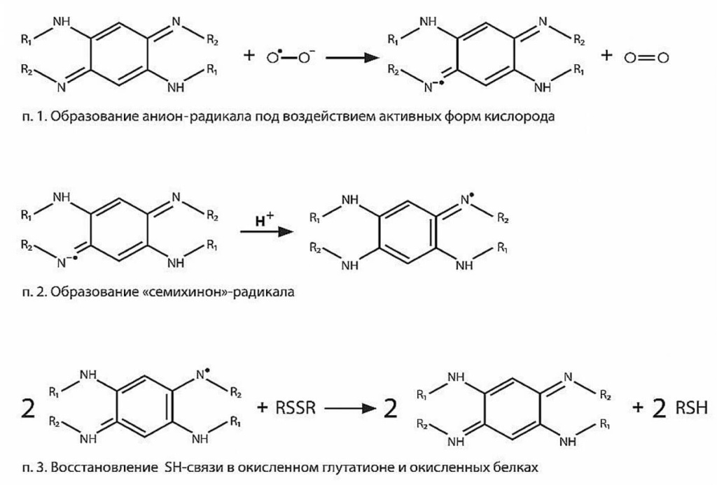 Рис-5.jpg Рис-5.jpg