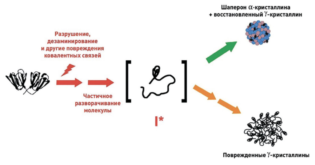Рис-1.jpg Рис-1.jpg